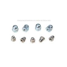 DIN1587 Nylon Iron Cap Nut (CZ001)